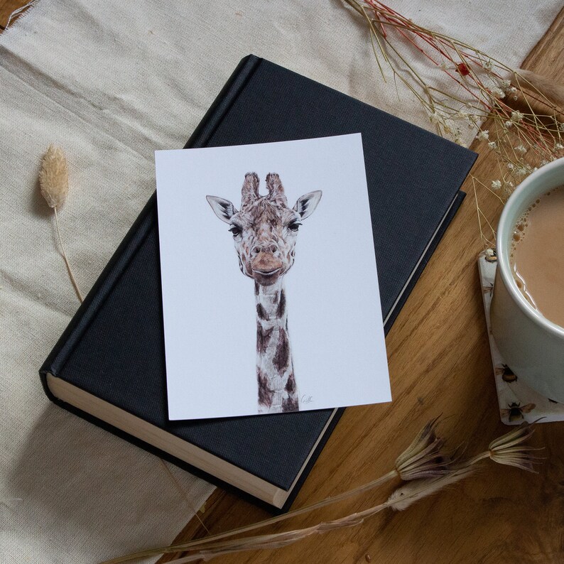 Cartes postales | Mini-impressions | Cartes postales d'animaux de la faune | Illustration animale | Impressions | image 8