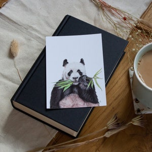 Cartes postales | Mini-impressions | Cartes postales d'animaux de la faune | Illustration animale | Impressions | image 7