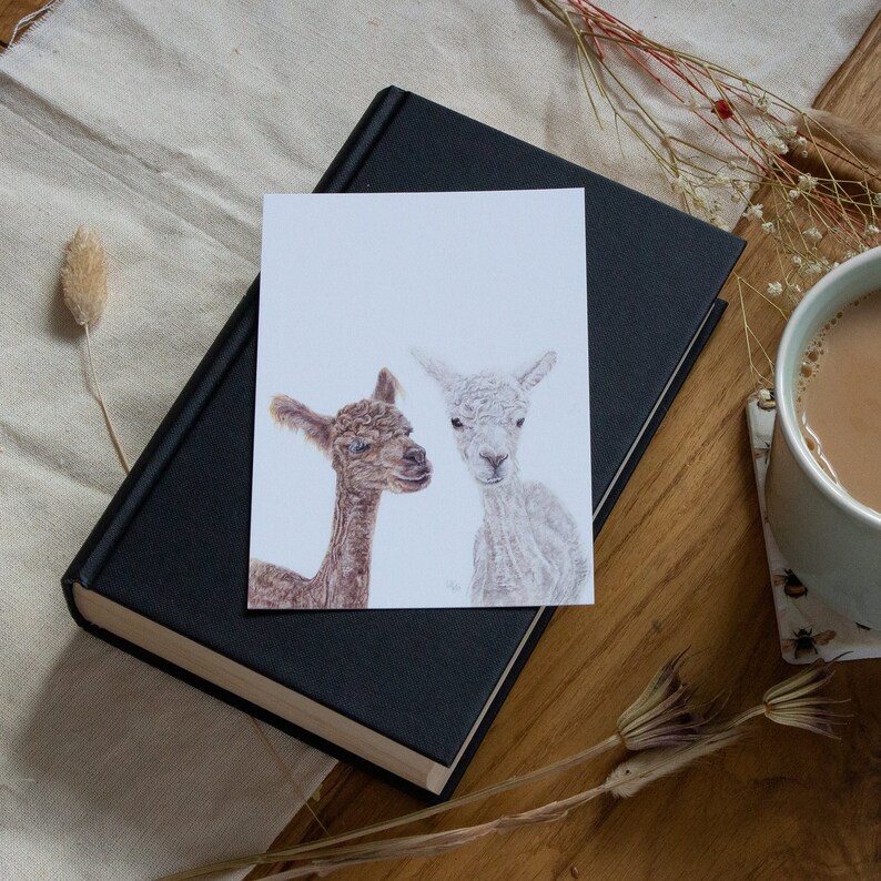 Cartes postales | Mini-impressions | Cartes postales d'animaux de la faune | Illustration animale | Impressions | image 6