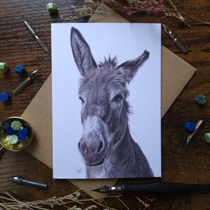 Wenskaart illustratie ezel | Herbert | Illustratie van wilde dieren | Blanco A6-kaart | Wenskaart voor wilde dieren