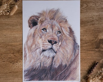Lion Wildlife Print | The Mane Event | Wildlife Print | Lion Print | A4 Unmounted | African Wildlife | Lion Portrait | Wall Art | Artwork