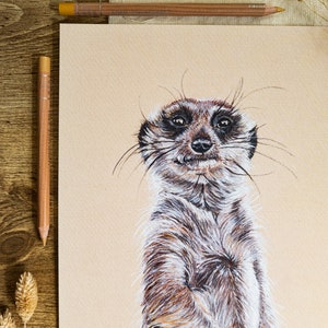 Meerkat Wildlife Print A4 Unmounted print Illustration Standing Meerkat Wall Art Monty Meerkat Print Nursery Décor image 3