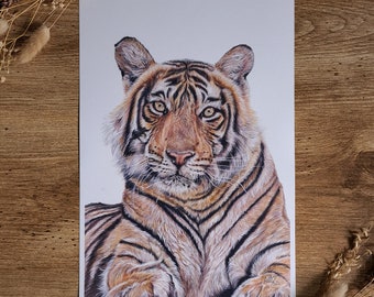 Tiger Wildlife Print | Paper Tiger | Wildlife Print | Lion Print | A4 Unmounted | Artwork | wall art | Tiger Portrait