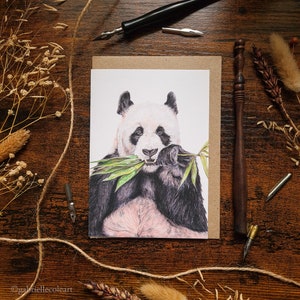 Biglietto d'auguri dell'orso panda / Biglietto vuoto A6 / Biglietto carino / Qualsiasi occasione / Biglietto d'auguri della fauna selvatica / Celebrazione