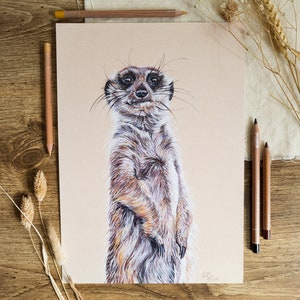 Meerkat Wildlife Print A4 Unmounted print Illustration Standing Meerkat Wall Art Monty Meerkat Print Nursery Décor image 1