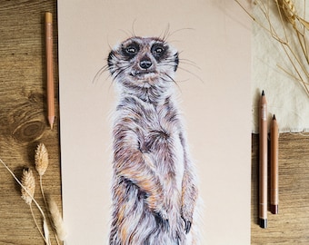 Meerkat Wildlife Print | A4 Unmounted print | Illustration | Standing Meerkat | Wall Art | Monty Meerkat Print | Nursery Décor