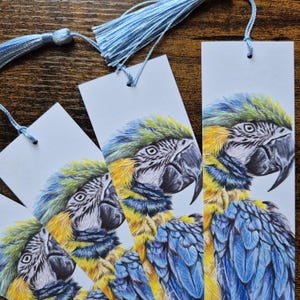 Blue-and-yellow macaw Bookmark | Wildlife Animal Bookmark | Animal Illustration | Macaw | Parrot