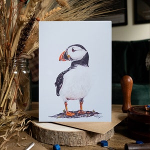 Biglietto d'auguri per pulcinelle di mare/A6 vuoto all'interno/biglietto della fauna selvatica/qualsiasi occasione