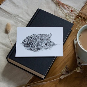 Cartes postales | Mini-impressions | Cartes postales d'animaux de la faune | Illustration animale | Impressions | image 2