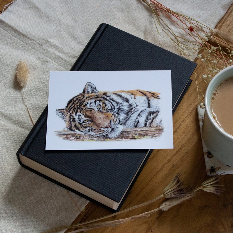 Cartes postales | Mini-impressions | Cartes postales d'animaux de la faune | Illustration animale | Impressions | image 5