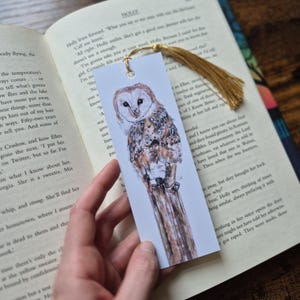 Barn Owl Bookmark | Wildlife Animal Bookmark | Animal Illustration | Owl | Reading
