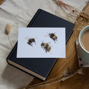 Postales / Mini Impresiones / Postales de animales salvajes / Ilustración de animales / Impresiones /