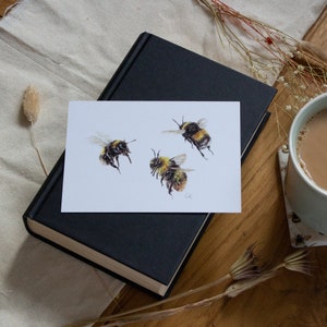 Postcards | Mini Prints | Wildlife Animal Postcards | Animal Illustration | Prints |