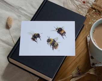 Postcards | Mini Prints | Wildlife Animal Postcards | Animal Illustration | Prints |