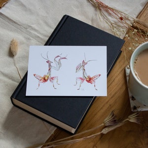 Cartes postales | Mini-impressions | Cartes postales d'animaux de la faune | Illustration animale | Impressions | image 3