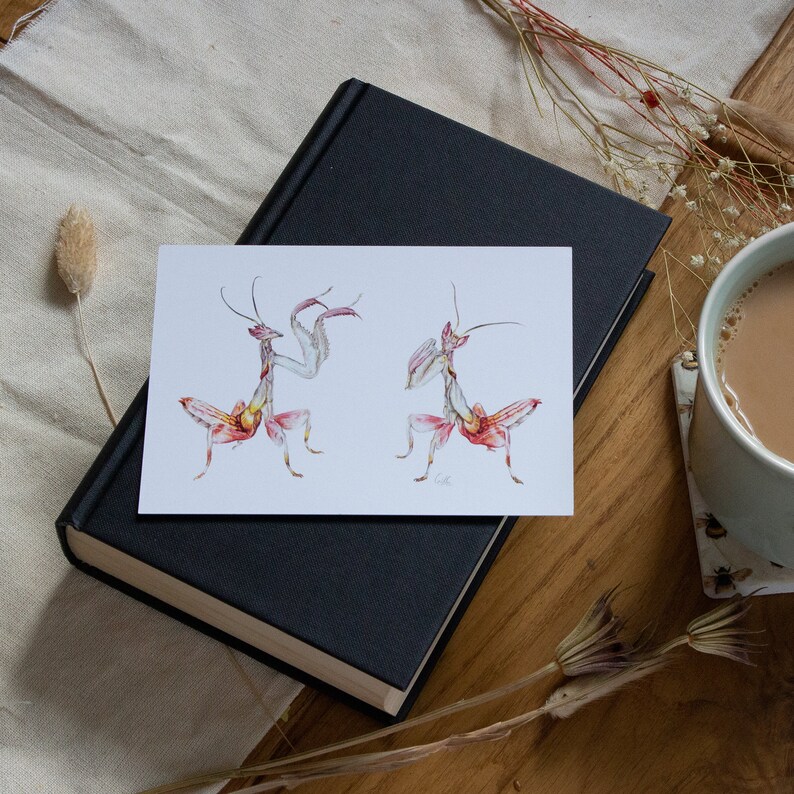 Cartes postales | Mini-impressions | Cartes postales d'animaux de la faune | Illustration animale | Impressions | image 3