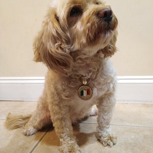 Iced Italy Flag Pendant Cuban Chain Dog Chain Pet Collar Chain Pet, Cat, Puppy Necklace