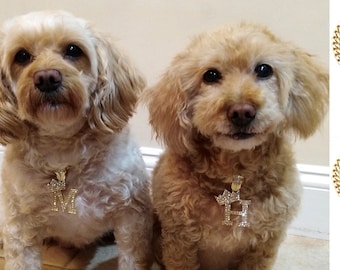 Iced Initial Letter Gold Pendant Cuban Chain Pet Collar Chain Pet, Cat, Puppy, Dog Chain Necklace