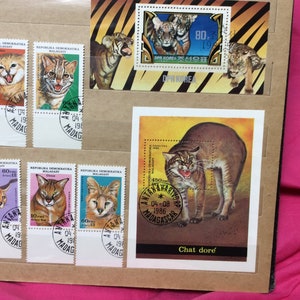 Collezione di francobolli con gatti. Francobolli rari con gatti.