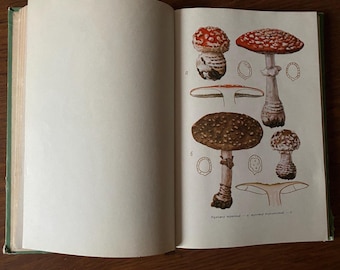 Collection vintage book about mushrooms