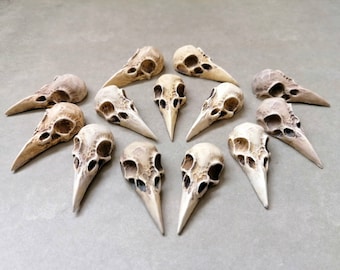 Miniature bird skull ornament x1