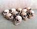 Miniature skulls. Skull figurine Halloween decorations 