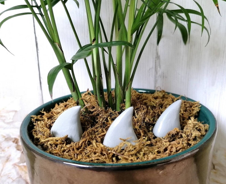 Shark fin spike plant pot decorations Etsy