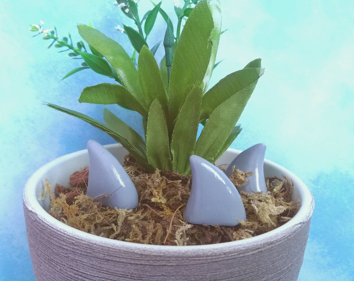 Shark Fin Spike Plant Pot Decorations Etsy