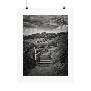 Stairway Path of Stinson Beach&#39;s Dipsea Trail Matte Vertical Poster 18x24&quot;