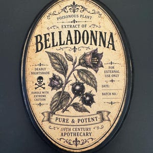 Belladonna, Dark Academia witchy art. Halloween decor. image 2