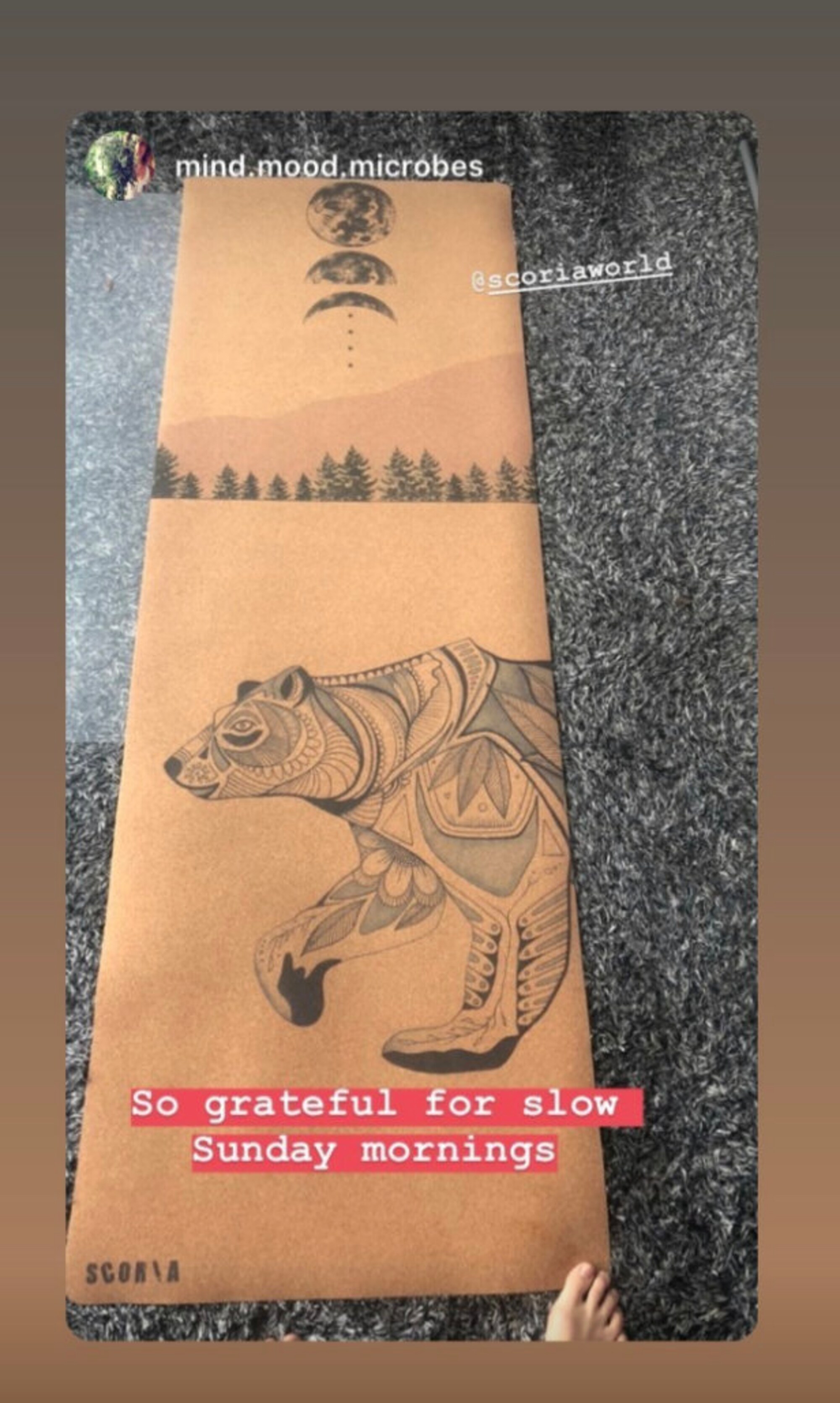 Night Bear Cork Yoga Mat by Scoria