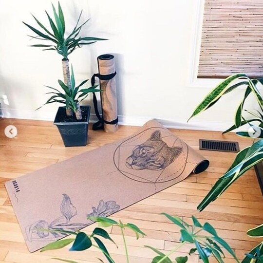 Disover Mountain Lion Cork Yoga Mat