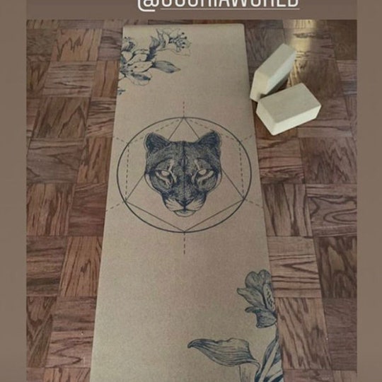 Disover Mountain Lion Cork Yoga Mat