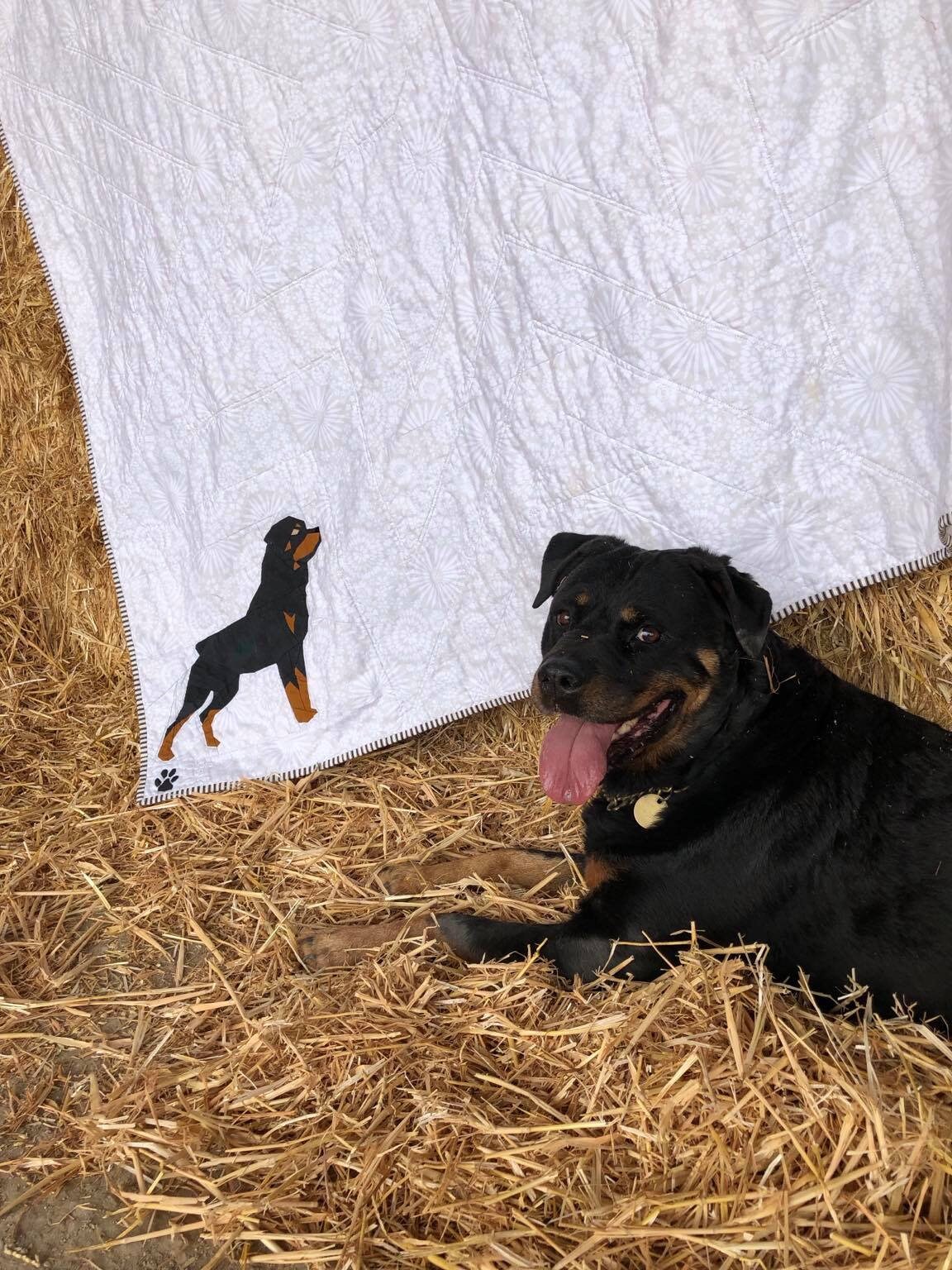 Rottweiler Male Docked Tail Foundation Paper Piecing Pattern - Etsy