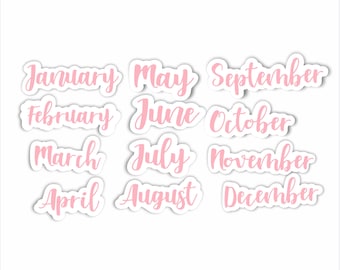 May include: Twelve pink stickers with the names of the months of the year written in a cursive font.