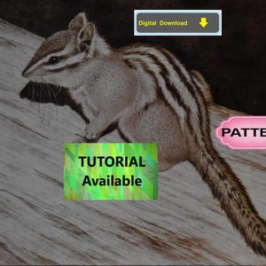 Chipmunk Pyrography Pattern:  Tutorial Available - wood burning art pattern (digital download)