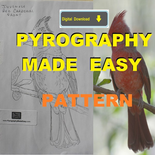 Red Cardinal Bird front Pyrography Pattern Wood burning pattern digital download