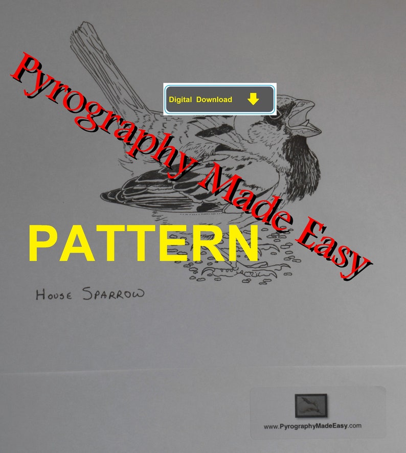 House Sparrow Pyrography Pattern Wood burning pattern digital download Tutorial available image 2