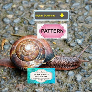 Puede incluir: Un caracol con una concha marr&oacute;n y bronceada se arrastra sobre una superficie texturizada. La imagen incluye el texto "Digital Download", "PATTERN" y "PYROGRAPHY MADE EASY".