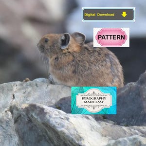 Modello pirografico Pika: modello artistico per la pirografia del legno (download digitale)