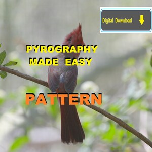 Red Cardinal Bird back Pyrography Pattern Wood burning pattern digital download