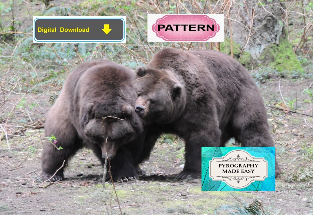 Brown Bear Tussle Pyrography Pattern: Wood Burning Art Pattern (digital ...