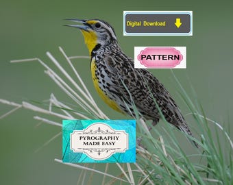 Meadowlark bird Pyrography Pattern: wood burning art pattern (digital download)