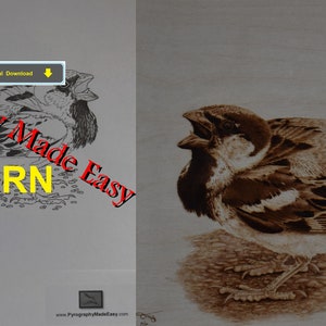 House Sparrow Pyrography Pattern Wood burning pattern digital download Tutorial available image 1