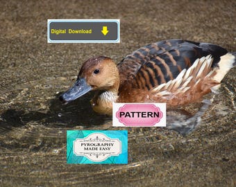 Fulvous Whistling Duck Pyrography Pattern: Wood Burning Art (Digital Download)