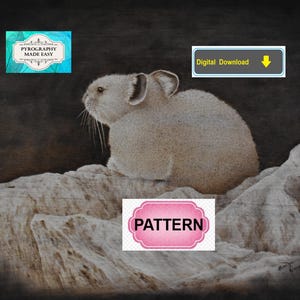 Op de afbeelding: Een gedetailleerde illustratie van een fluithaas die op een rots zit tegen een donkere achtergrond. De afbeelding bevat tekstvakken met de labels PYROGRAPHY MADE EASY, Digital Download en PATTERN. De fluithaas is lichtbruin van kleur.