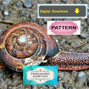 Puede incluir: Un caracol con una concha marr&oacute;n y beige se arrastra sobre una superficie texturizada. El cuerpo del caracol es de color marr&oacute;n y beige moteado. La imagen incluye el texto "Digital Download", "Pattern" y "Pyrography Made Easy".