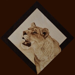 May include: A wood-burned image of a lioness with her mouth open, set against a light brown background and framed with a black border.