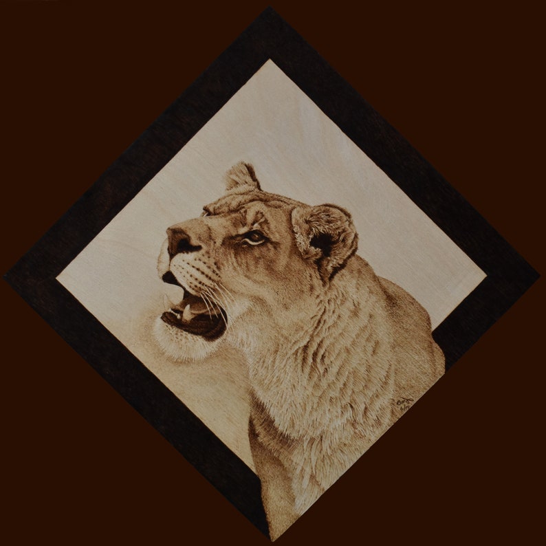 May include: A wood-burned image of a lioness with her mouth open, set against a light brown background and framed with a black border.