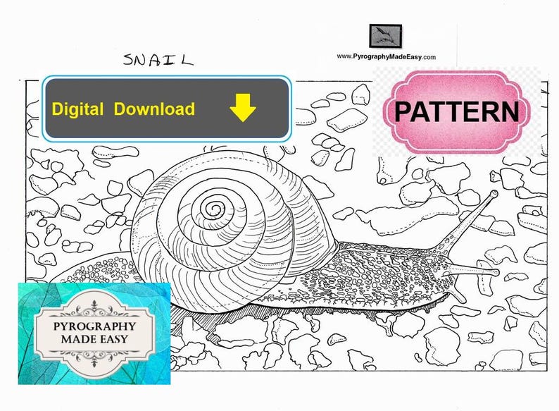 Patrón de pirograbado de caracol: Tutorial disponible - patrón de pirograbado (descarga digital) imagen 4